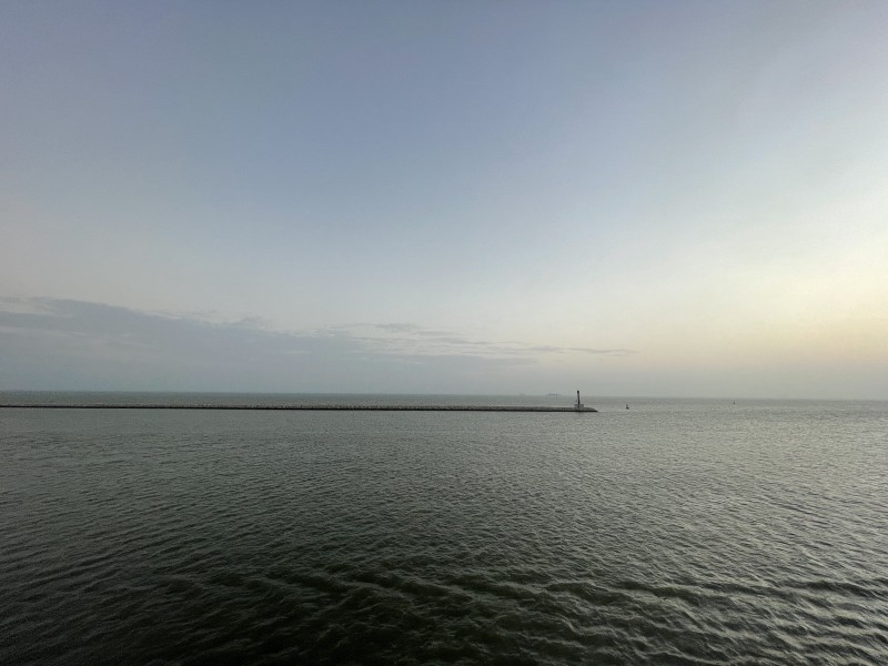 Selective focus photography of orange and white cat on brown table